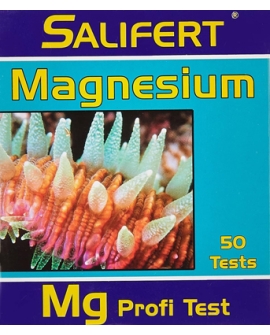 S34650